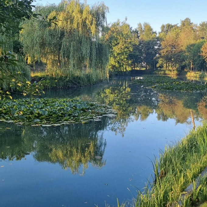 York - Hot and Cold Happiness Retreat (Fri 26th - Sun 28th June 2026) - £370 (pay £150 initial deposit)