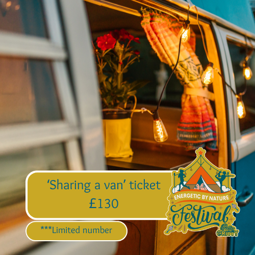 'Sharing a van' Ticket - Early bird £130 image 0