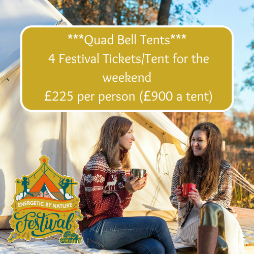Quad Bell Tent/Festival tickets for 4 mates image 0