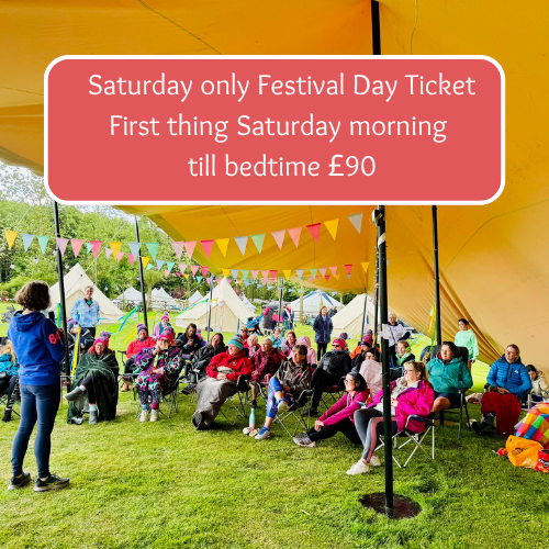Festival Day Ticket for Saturday