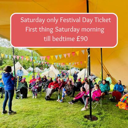 Festival Day Ticket for Saturday