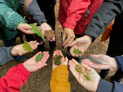 Women's Wellness Day Retreat - forest bathing, foraging and yoga