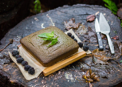 Women's Wellness Day Retreat - forest bathing, foraging and yoga