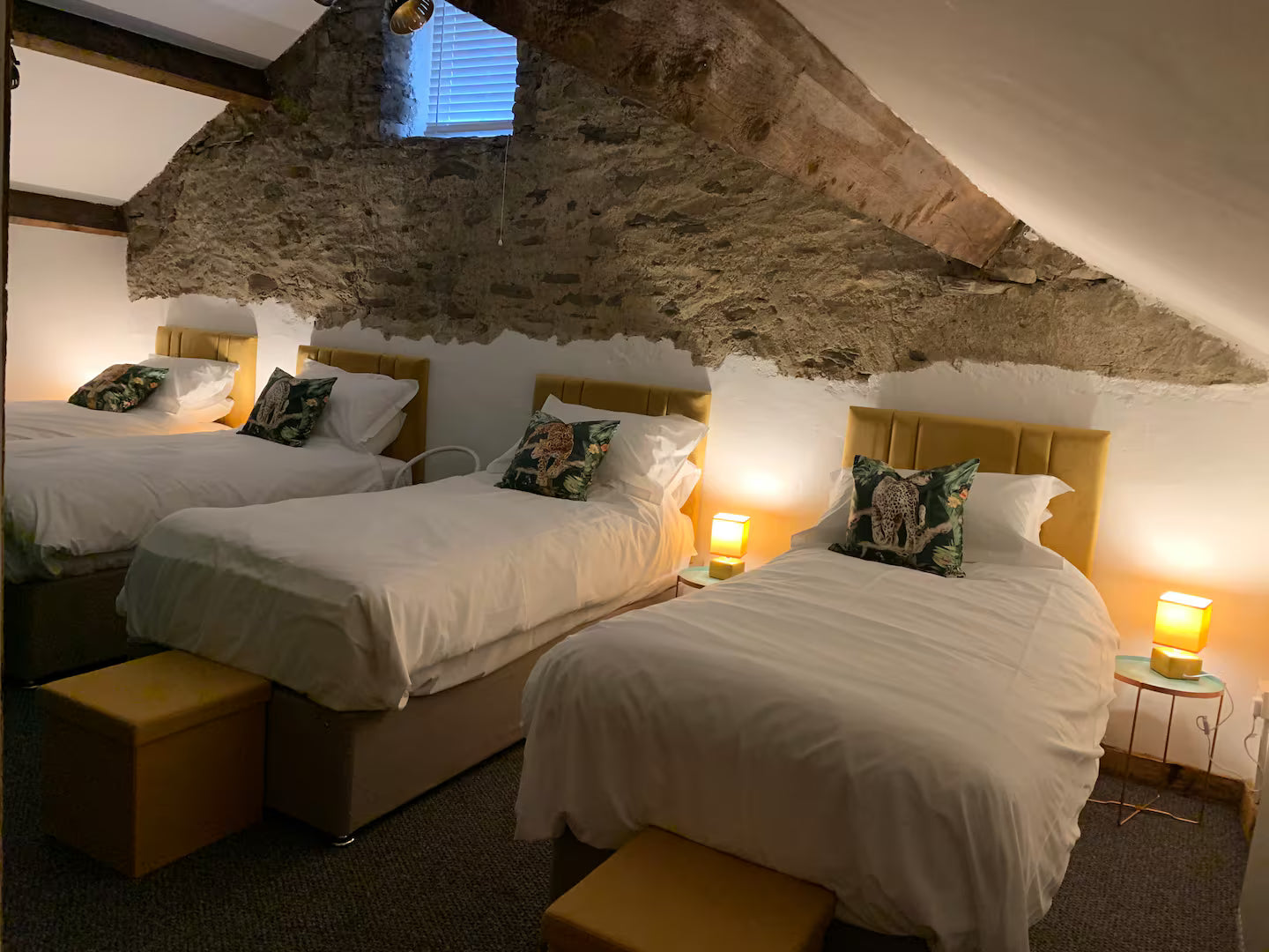 Windermere Great North Swim Weekend  (12th - 14th June 2026 ) £370 (Pay £150 initial deposit)