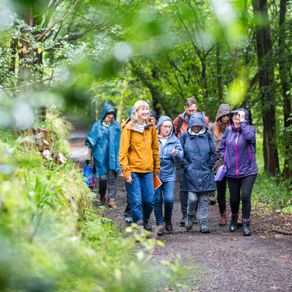 Women's Wellness Day Retreat - forest bathing, foraging and yoga
